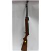 Image 1 : WOOD HANDLED AIR RIFLE