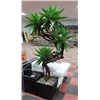 Image 1 : LARGE SHOWHOME ARTIFICIAL FLOOR PLANT X2