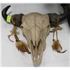 Image 1 : BUFFALO HEAD WALL HANGING SKULL