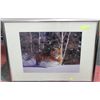 Image 1 : FRAMED TIGER PICTURE