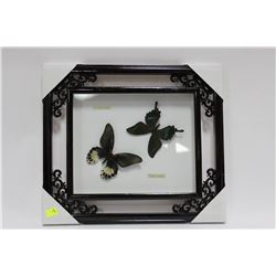 PAIR OF ORNATE FRAMED BUTTERFLIES