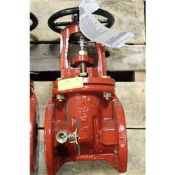 GATE VALVE 2 1/2"