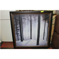 SHOWHOME FOREST PICTURE