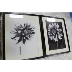 PAIR OF SHOWHOME FLOWER PICTURES