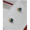 Image 2 : 14KT GOLD BLUE DIAMOND(0.45cT) EARRINGS