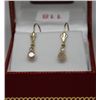 Image 1 : 14KT GOLD DIAMOND(05ct) EARRINGS