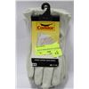 Image 1 : PACK OF 5 LEATHER WORK GLOVES