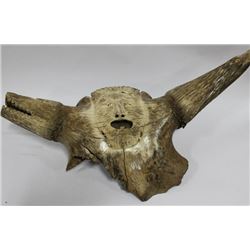 PETRIFIED EXTINCT STEPPE BISON