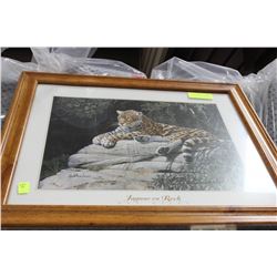 JAGUARON ROCK FRAMED PICTURE