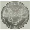 Image 3 : 2004 AMERICAN SILVER EAGLE, NGC MS-69!