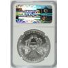 Image 4 : 2011 (S) SILVER AMERICAN EAGLE NGC MS-69