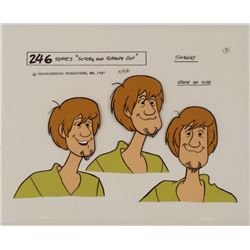 Shaggy Scooby Doo Original Model Cel Animation Art
