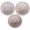 Image 2 : World Trade Center - Ground Zero Recovery - United States. Lot of three (3) different Silver Eagles.