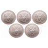 Image 2 : World Trade Center - Ground Zero Recovery - United States. Lot of five (5) 2001 Silver Eagles.