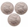 Image 1 : World Trade Center - Ground Zero Recovery - United States. Lot of three (3) 2001 Silver Eagles.