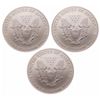 Image 2 : World Trade Center - Ground Zero Recovery - United States. Lot of three (3) 2001 Silver Eagles.