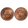 Image 1 : 1 Cent. 1891. Small Leaves, Small Date. Obv 3. ICCS MS-65 Red.
