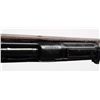 Image 8 : Springfield Mod 1903 Mark I U.S. Rifle.**