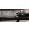 Image 5 : Springfield Model 1903 U.S. Bolt Action Rifle**