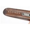 Image 9 : Ithaca NID 20 Ga. Shotgun**