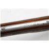 Image 12 : LC Smith 12 Ga. Specialty Long Range Shotgun.**