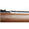 Image 4 : Winchester Model 74 Semi-Automatic Rifle.**