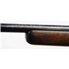 Image 5 : Winchester Model 74 Semi-Automatic Rifle.**