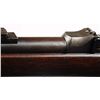 Image 4 : Springfield Model 1884 Rifle (ID'ed Indian Wars).