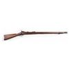 Image 1 : Springfield Model 1884 Rifle (ID'ed Sp-Am War).