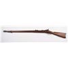 Image 2 : Springfield Model 1884 Rifle (ID'ed Sp-Am War).