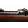 Image 4 : Springfield Model 1884 Rifle (ID'ed Sp-Am War).