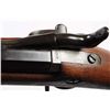 Image 6 : Springfield Model 1884 Rifle (ID'ed Sp-Am War).