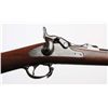 Image 7 : Springfield Model 1884 Rifle (ID'ed Sp-Am War).