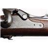 Image 8 : Springfield Model 1884 Rifle (ID'ed Sp-Am War).