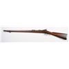 Image 2 : Springfield Model 1884 Rifle (ID'ed Sp-Am War).