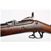 Image 3 : Springfield Model 1884 Rifle (ID'ed Sp-Am War).