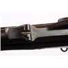 Image 4 : Springfield Model 1884 Rifle (ID'ed Sp-Am War).