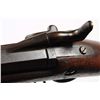 Image 5 : Springfield Model 1884 Rifle (ID'ed Sp-Am War).