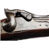 Image 7 : Springfield Model 1884 Rifle (ID'ed Sp-Am War).