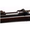 Image 4 : Springfield Model 1884 Rifle (ID'ed Sp-Am War).
