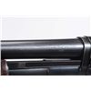 Image 4 : Winchester Model 12 Shotgun.**