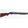 Image 6 : Winchester Model 12 Shotgun.**