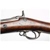 Image 3 : Springfield Model 1884 U.S. Trapdoor Rifle.**
