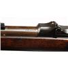 Image 4 : Springfield Model 1884 U.S. Trapdoor Rifle.**