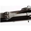 Image 6 : Springfield Model 1884 U.S. Trapdoor Rifle.**