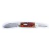 Image 1 : Case Knife.