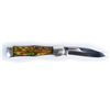 Image 2 : Case Folding Knife.