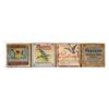 Image 1 : Lot of 4: 12 Ga. Empty Shot Shell Boxes.