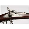 Image 5 : Springfield Model 1884 U.S. Trapdoor Rifle.