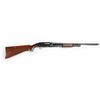 Image 1 : Winchester Model 12 16G Pump Shotgun**